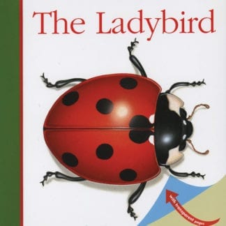 Ladybird