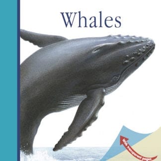 Whales