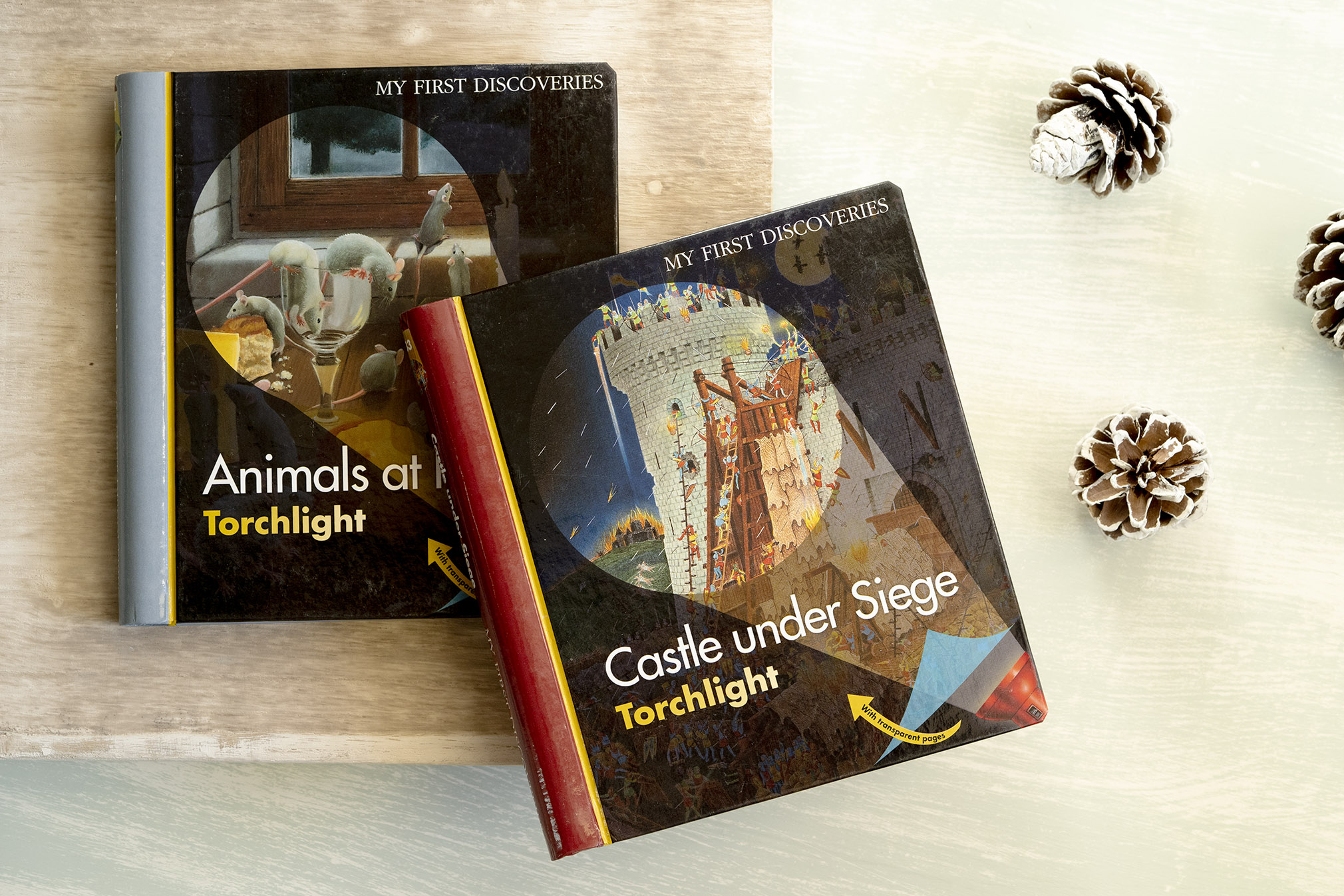 interactive-books-for-5-year-olds-moonlight-publishing