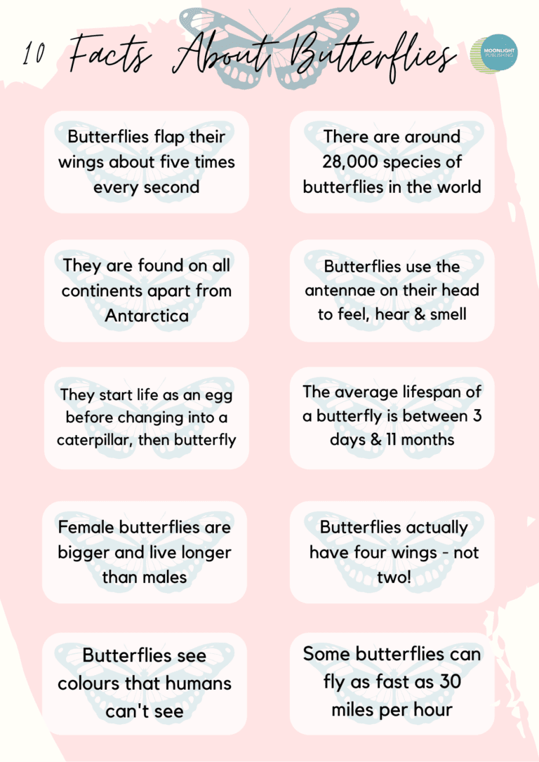 Butterfly Facts for Kids Free Printable PDF Moonlight Publishing