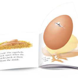 The Egg