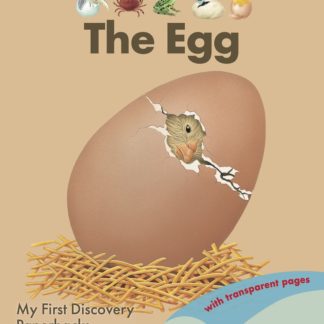 The Egg