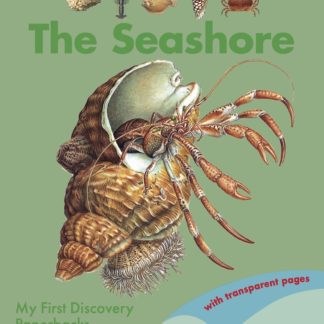 The Seashore